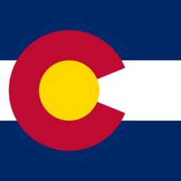 state Flag Pillows - thumbnail 2