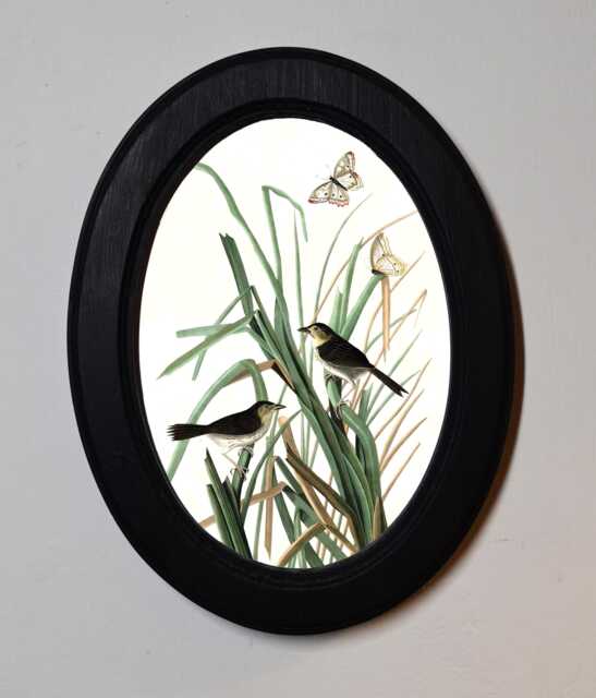 Black Oval Wooden Framed Picture, John James Audubon, Macgillivrays Finch, Bird Butterfly Nature Art Print, Wall Hanging Vintage Style - image 1