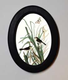 Black Oval Wooden Framed Picture, John James Audubon, Macgillivrays Finch, Bird Butterfly Nature Art Print, Wall Hanging Vintage Style - thumbnail 1