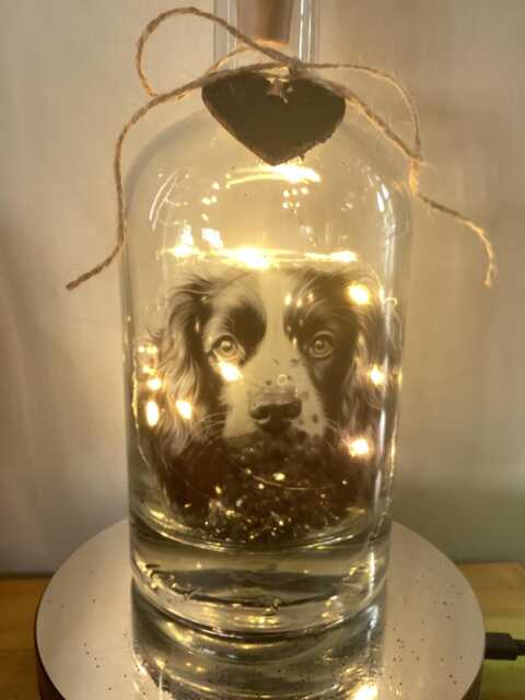 Personalised English Springer Spaniel Dog Light Up Bottle, Bottle Lamp With Gift Messaging Service & Bag