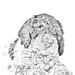Romagna Water Dog - Wooden Stand For Candles/Pens With The Image Of A Dog New Collection - thumbnail 2
