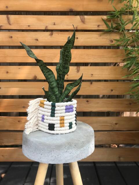 Macrame Planter Mod Colorblock Design - image 1