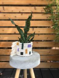 Macrame Planter Mod Colorblock Design