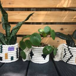 Macrame Planter Mod Colorblock Design - thumbnail 4