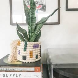 Macrame Planter Mod Colorblock Design - thumbnail 3