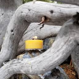 Essential Oil Scented Natural Beeswax Tealight Candles - thumbnail 4