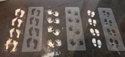 stencil For Mini Footprints, Footprint Or Handprint Elf Pranks Door, Christmas, Christmas - thumbnail 1