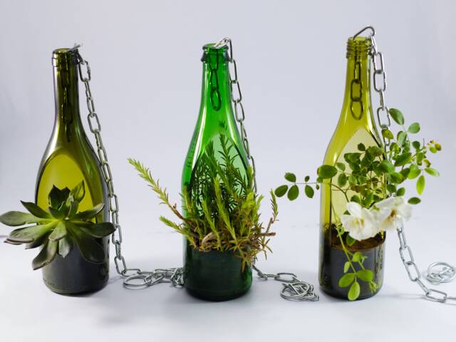 Hanging Planter Pot Handcrafted From Repurposed Wine Bottle Green - Olive Clear - image 1