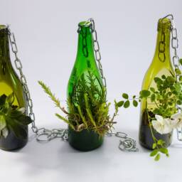 Hanging Planter Pot Handcrafted From Repurposed Wine Bottle Green - Olive Clear - thumbnail 2