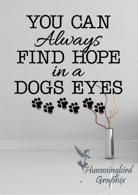 You Can Always Find Hope in A Dogs Eyes ... Decal - Vinyl Wall Sticker Quote Word Art - image 1