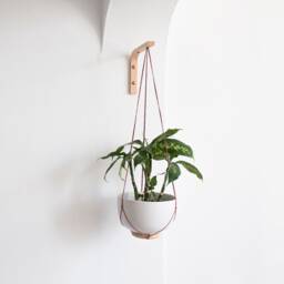 Wall Plant Hook Rose Thread Hanger For Hanging Plants Holder Wooden - thumbnail 4
