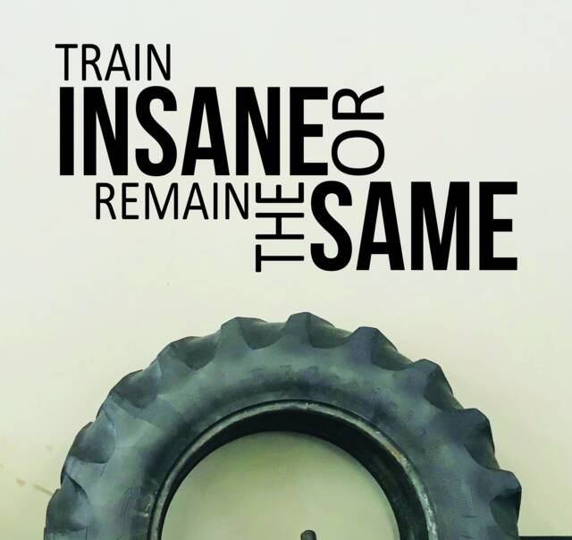 Gym Ideas, Gym Wall Decal, Design, Fitness Decor. Train Insane Or Remain The Same - image 1