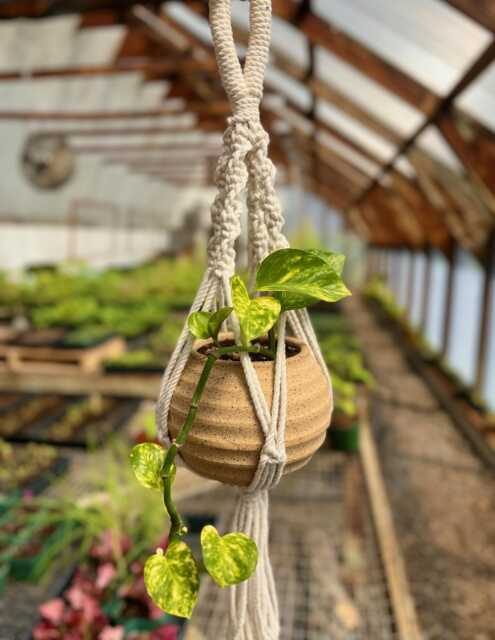 Macrame Pottery Planter - Hanging - image 1