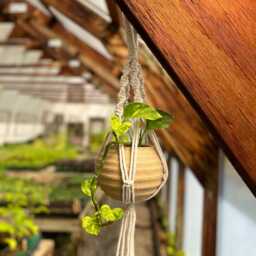 Macrame Pottery Planter - Hanging - thumbnail 2
