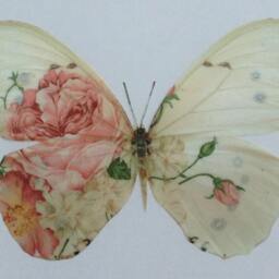 Shabby Chic 3D Butterfly Wall Art Pink Rose Hummingbird Decor - thumbnail 3