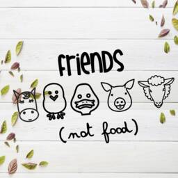Vegan Pillow Cover Friends Not Food, Farmhouse Decor - 16x16 - thumbnail 3