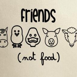 Vegan Pillow Cover Friends Not Food, Farmhouse Decor - 16x16 - thumbnail 4