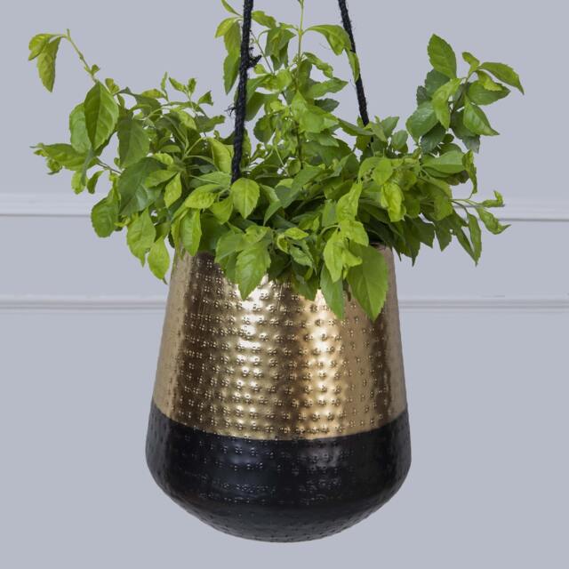 2 Tone Hanging Plant Pot - Elegant Black & Gold Indoor Holder in Two Colours Home Office Decor - image 1