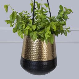 2 Tone Hanging Plant Pot - Elegant Black & Gold Indoor Holder in Two Colours Home Office Decor - thumbnail 1