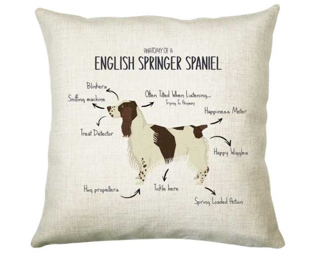 Anatomy Of A English Springer Spaniel Funny Gift For Him Or Her Cushion Pillow Bedroom Decor Cs406 - image 1
