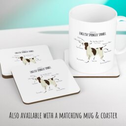 Anatomy Of A English Springer Spaniel Funny Gift For Him Or Her Cushion Pillow Bedroom Decor Cs406 - thumbnail 3