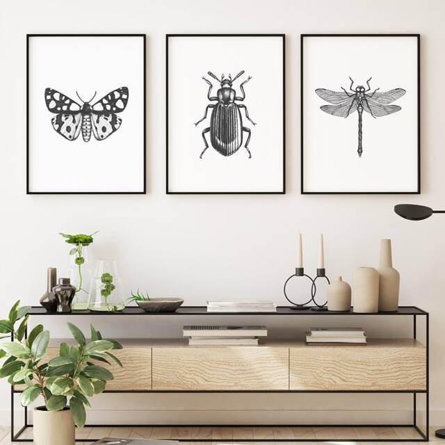 Black & White Insect Illustrations Set Of 3 Contemporary Unframed Prints Modern, Art For Home, Contemporary Prints - image 1