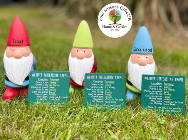 Personalised Garden Gnome Gift, Funny Weather Forecasting Gnome, Dad Grandad Custom Name Ornament, Novelty Decor - image 1