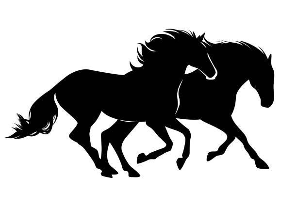 Horse Decal Car Van Bonnet Vinyl Side Sticker Wall Art Hood Graphic Window Door Sign Motorhome Campervan Box Horses