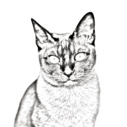 Tonkanese - Wooden Stand For Candles/Pens With The Image Of A Cat New Collection - thumbnail 2