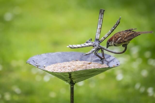 Dragonfly Bird Bath Feeder - Safe Place To Leave Parcel Needed & Contact Number For Delivery - Large Box Delivery - image 1