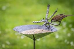 Dragonfly Bird Bath Feeder - Safe Place To Leave Parcel Needed & Contact Number For Delivery - Large Box Delivery - thumbnail 1