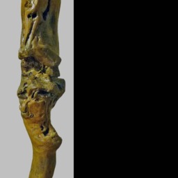 "Natural Sculpture in Driftwood From The Loire ""Rictus" - thumbnail 2