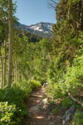 Lone Peak Mountain Print Utah Hiking Trail Photography - thumbnail 1