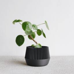 Indoor Planter - Kobe - thumbnail 2