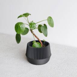 Indoor Planter - Kobe - thumbnail 3