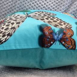 Designers Guild & Christian Lacroix Butterfly Parade Lagon & Omega Velvet Cushion Cover 40x40 cm - thumbnail 2