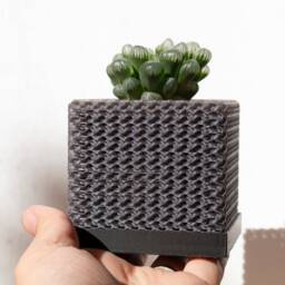 Cubelia - Modern Minimalist Cube Pot, Geometric Succulents Succulent Planter, Square Mini Orchid Math Teacher Gift - thumbnail 3