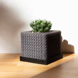 Cubelia - Modern Minimalist Cube Pot, Geometric Succulents Succulent Planter, Square Mini Orchid Math Teacher Gift - thumbnail 1