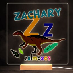 Z Dinosaur Alphabet Colourful Square Personalised Gift Led Lamp Night Light - Bedroom