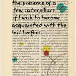 The Little Prince & Rose - Book Art Print On Vintage Dictionary Page With Butterflies & Famous Quote From Saint Exup??ry - 47-N??13 - thumbnail 2