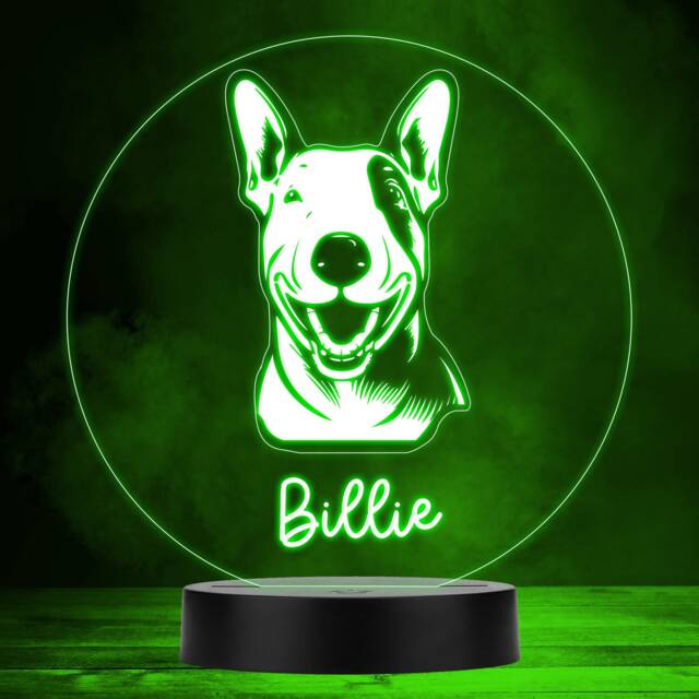 Bull Terrier Dog Pet Multicolour Personalised Gift Lamp Night Light - Bedroom - image 1
