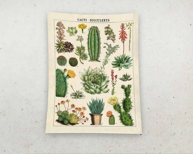 Tapestry Wall Hanging, Art Hand Woven, Cactus Tapestry, Pattern, Green Salon Minimalist Decor, Gift - image 1