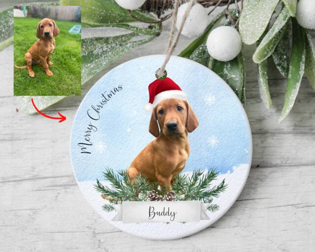 Personalised Pet Photo Christmas Ornament, Dog Bauble Decoration - image 1