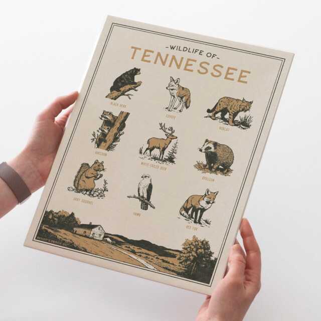 Tennessee Wildlife Wall Art Print - Vintage Animal Poster Design, Archival Quality Matte Fine Art Print. Outdoor, State Gift - image 1