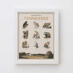 Tennessee Wildlife Wall Art Print - Vintage Animal Poster Design, Archival Quality Matte Fine Art Print. Outdoor, State Gift - thumbnail 2