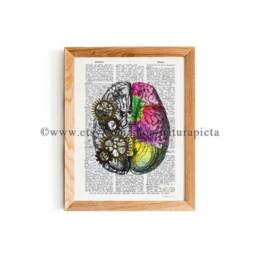 Left Right Brain Anatomy Print, Wall Art, Poster, Human Xmas Gift, Doctor Gift, Anatomy Print Set - thumbnail 2
