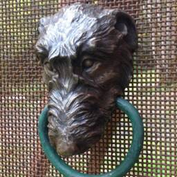 Irish Wolfhound - thumbnail 3