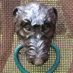 Irish Wolfhound - thumbnail 2