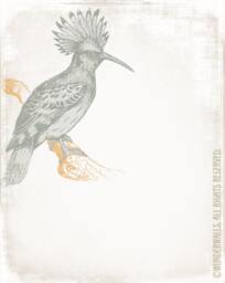 "Crested Woodcut Bird Series Brown On Linen Large 16"" X 20" - thumbnail 1