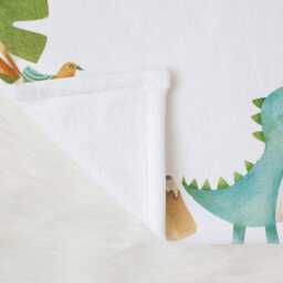Dino Milestone Blanket Personalized Baby Age Monthly Growth Tracker New Shower Gift Custom Name Minky Fleece Mom - thumbnail 2